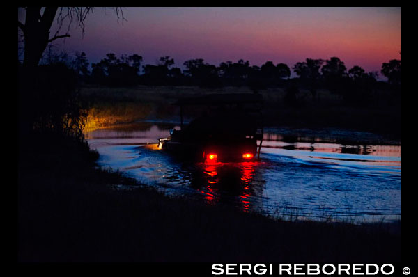 Un 4x4 creua una de les zones inundables durant el safari nocturn que Orient Express efectua al campament Khwai River Lodge d'Orient Express a Botswana , a l'interior de la Reserva Salvatge de Caça Moremi , Botswana . Safari nocturn pels pantans de Linyati Recórrer aquesta part del Parc Nacional de Chobe quan cau la nit és tot un luxe . Gràcies a que les normes en aquesta zona no són tan estrictes com en altres vedats nacionals és possible conduir quan ja no hi ha llum i aturar-se a contemplar la vida animal al voltant dels pantans . Els elefants , els lleons i els guepards són només alguns dels veïns de les aigües de Linyati . Es tracta d'una experiència que no et defraudarà . A Botswana es produeix el segon moviment migratori més gran de zebres de tot Àfrica. Més de 25.000 individus es desplacen 2 cops l'any a la recerca de pastures fresques aigua . Entre març i abril inicien la seva ruta des del nord cap a la regió de Makgadikgadi , que després de les pluges d'estiu explosiona en verdor , aigua i pastures . Aquí romanen fins als mesos de setembre i octubre , i tornen al nord , en direcció Chobe i Moremi , sobre el mes de novembre. Durant aquesta ruta , que recorre totes les regions que travessa aquesta Gran Migració, les possibilitats de trobar-la són molt altes 