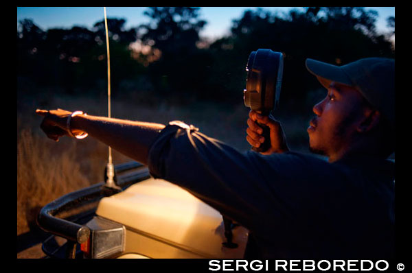 El guía está provisto de una linterna de gran potencia con la que busca los animales durante el safari nocturno que Orient Express efectúa en el campamento Khwai River Lodge de Orient Express en Botswana, en el interior de la Reserva Salvaje de Caza Moremi, Botswana. Botswana es un país con un régimen político estable y con una gran belleza natural. Desde el desierto del Kalahari hasta la zona del Delta del Okavango podrán descubrir lugares espectaculares y unos atardeceres únicos. El Delta es una zona cubierta de agua, llena de canales e islas donde viven una gran variedad de animales salvajes. Cerca de la frontera con Zimbabwe se encuentra el Parque de Chobe, donde además de varias especies de aves podrán ver a los elefantes, que aquí se cuentan por manadas. El río Chobe es un espectáculo increíble y realizar un safari por sus aguas una gran experiencia. Ya en Zimbabwe, las cataratas Victoria ofrecen un espectáculo sorprendente. Tendrá que realizar un paseo frente a las cataratas para descubrir la belleza de este fenómeno natural. El Parque de Hwange es la mayor reserva de caza de Zimbabwe. Este lugar alberga 105 especies de mamíferos, entre ellos 19 grandes herbívoros y 8 carnívoros. En este viaje disfrutará de la naturaleza y los paisajes de África.