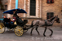 Cavall i carro. Un dels sons més familiars de Bruges és el soroll de les ferradures en xocar amb les llambordes al casc antic. 