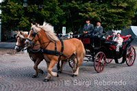 Passejades amb carro de cavalls. No es pot visitar Bruges sense fer un tour en carro tirat per cavalls passejant pels carrers empedrats.  El punt de partida és la Plaça del Mercat (el principal punt de trobada), i costa uns 35 € per mitja hora, el genet realitza normalment un viatge de 35 minuts per la ciutat, amb un petit descans, a prop del Llac de l'Amor, on se'ls sol donar de menjar als cavalls. Els tours funcionen cada dia entre les 9:30 am i les 17:30. Aquests tours es duen a terme en holandès, alemany, anglès i francès. No cal perdre aquesta meravellosa experiència! La majoria dels cotxes tenen tendals durant els dies de pluja.  