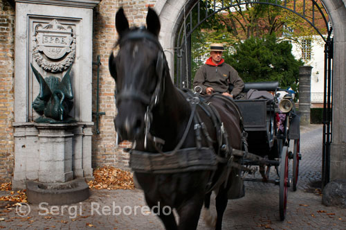 Carruaje tirado por caballos: El trayecto en carroaje por Brujas dura aproximadamente media hora y comienza desde el Markt hacia la Begijnhof, al sur de la ciudad. Es una experiencia agradable visitar la ciudad en un carruaje tirado por caballos.