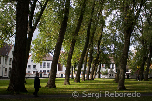 Just darrere de la Minnewater es troba el Beaterio De Wijngaard. És una de les àrees típiques de Bruges, on un pot trobar més pau i tranquilitat de tota la ciutat, lluny de l'amuntegament del centre de la ciutat. El Beateri és un grup de cases al voltant d'un petit jardí cobert de grans àlbers. Va ser aquí que durant els últims set segles van viure les beguines de Bruges. El 1937 el beateri es va convertir en un monestir de les germanes benedictines que encara viuen aquí ara. En el canviant món del segle 13, algunes persones se sentien més atretes a una forma més pura i mística de la religió, dedicada sobretot al creixement personal. Les persones d'ambdós sexes, van decidir seguir aquest nou moviment, que va donar lloc a la creació de nombroses noves ordres religioses. Les institucions religioses oficials desconfiaven d'aquests nous grups, de manera que eren molt sovint perseguits o prohibits. Als Països Baixos, però, els seguidors del moviment de dones místiques van ser tolerats en forma de moviment "Beguine". Se'ls va permetre viure en diferents parts de les ciutats, en les anomenades Béguinage. D'aquesta manera, les autoritats religioses podien controlar-los i supervisar. Les beguines vivien com monges normals, però no feien els vots que les monges fan normalment, com els vots d'obediència i castedat, encara que sí el vot de pobresa. D'altra banda, podien en tot moment trencar els seus vots i sortir de la comunitat beguine. 