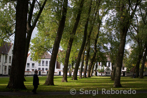 Justo detrás de la Minnewater se encuentra el Beaterio De Wijngaard. Es una de las áreas típicas de Brujas, donde uno puede encontrar más paz y tranquilidad de toda la ciudad, lejos del hacinamiento del centro de la ciudad. El Beaterio es un grupo de casas alrededor de un pequeño jardín cubierto de grandes álamos. Fue aquí que durante los últimos siete siglos vivieron las beguinas de Brujas. En 1937 el beaterio se convirtió en un monasterio de las hermanas benedictinas que todavía viven aquí ahora. En el cambiante mundo del siglo 13, algunas personas se sentían más atraídas a una forma más pura y mística de la religión, dedicada sobretodo al crecimiento personal. Las personas de ambos sexos, decidieron seguir este nuevo movimiento, que dio lugar a la creación de numerosas nuevas órdenes religiosas. Las instituciones religiosas oficiales desconfiaban de estos nuevos grupos, por lo que eran muy a menudo perseguidos o prohibidos. En los Países Bajos, sin embargo, los seguidores del movimiento de mujeres místicas fueron tolerados en forma de movimiento "Beguine". Se les permitió vivir en distintas partes de las ciudades, en las llamadas Beguinages. De esta manera, las autoridades religiosas podían controlarlos y supervisarlos. Las beguinas vivían como monjas normales, pero no hacían los votos que las monjas hacen normalmente, como los votos de obediencia y castidad, aunque sí el voto de pobreza. Por otra parte, podían en todo momento romper sus votos y salir de la comunidad beguine.