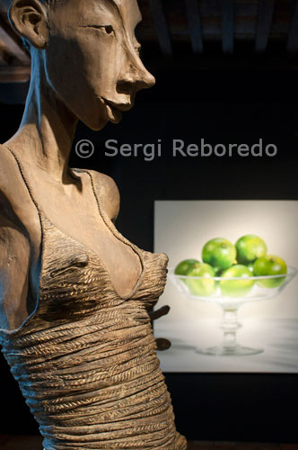 "Zalongou" escultura de bronce (cera perdida) Altura: 225cm Artista: Dirk De Keyzer en la Galería de Arte Absolut en la calle Dijver. Brujas.