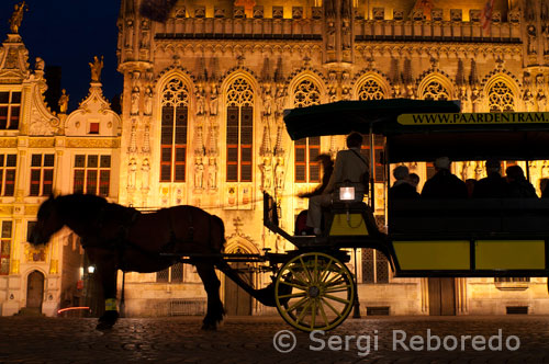 Bruges: L'Ajuntament i la Plaça de Burg. El Comte Balduí I havia construït un castell fortificat per protegir la zona contra els normands i víkings. Un dels edificis més bells de Bruges que es poden veure aquí és l'Ajuntament gòtic de 1376. Va ser un dels primers ajuntaments monumentals als Països Baixos. A la façana hi ha sis finestres gòtiques. Al frontal també es mostren les armes la ciutat i pobles que estaven sota el domini administratiu de Bruges. Hi ha 48 nínxols per estàtues. Les estàtues originals (figures bíbliques i comtes de Flandes), van ser enderrocades durant les seqüeles de la Revolució Francesa. Les seves substitutes del segle 19 ja han estat canviades per versions més modernes. En el hall d'entrada hi ha una gran escalinata que condueix a l'anomenada Sala Gòtica (1386-1401). Aquesta sala va ser decorada el 1895 amb pintures murals gòtiques neo-que il.lustren els esdeveniments més importants en la història de Bruges. La plaça Burg és realment una mostra de diferents estils arquitectònics europeus. Al costat de l'ajuntament gòtic es troba l'antic Registre Civil en estil renaixentista. (1534-1537). Les estàtues decoratives van ser destrossades en trossos també en 1792, però reformades posteriorment. Les estàtues de bronze representen Justícia, Moisès i Aaron. Des de 1883 l'edifici s'utilitza com a Tribunal de Pau. Per la seva banda esquerra es troba l'antiga Cort de Justícia d'estil neo-classicista. (1722-1727). Dins d'aquest edifici s'ubica la famosa xemeneia 'Brugse Vrije'. La xemeneia es va construir entre 1528 i 1581 en fusta, alabastre i marbre, per commemorar la victòria de l'emperador Carles V contra el rei de França Francesc I a Pavia. L'antic Tribunal de Justícia ara alberga el centre d'informació turística de Bruges. 