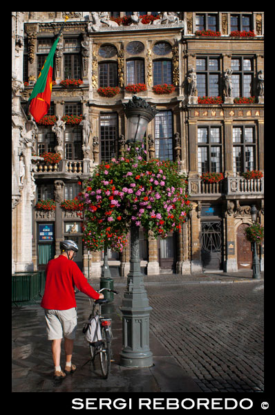 Un ciclista i al fons els edificis de Louve, Sac i Brouette. Grand Place. El Louve, Sac i Brouette són un conjunt de cases que no van ser reconstruïts el 1695, quan la resta dels edificis de la Grand Place es van renovar. A causa de la conservació de les seves façanes, se'ls consideren els edificis més bells de la Grand Place. CICLISTA DE VERMELL BELGA.