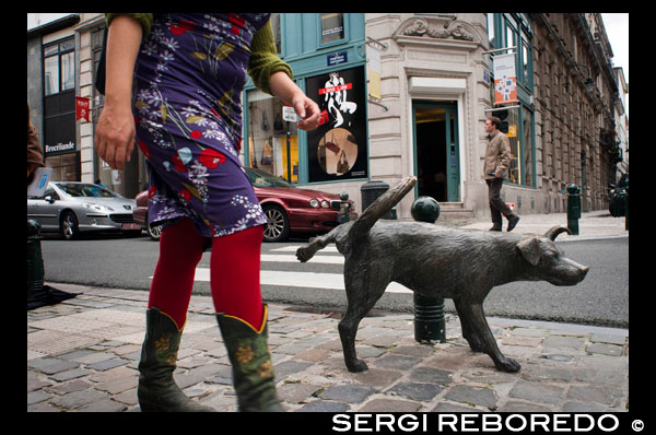 Zinneke. Rue des Chartreux www.hallessaintgery.be corner Rue du Vieux Marché aux Grains. <M> Bourse. According to the Local gerga this word was used to denote those stray dogs that roamed the city without an owner, but today also names the expression of artistic creativity of European citizens, proud to be part of a mix of cultures and roots in a time when increasing racial tensions arise and in which politicians promote fear and hatred to divide citizens. During the month of May, and every two years the Parade Zinneke praises cultural diversity. This bronze statue of the dog-size on wetting bastard in this corner symbolizes precisely these concepts STATUE OF A DOG MEA on a person.