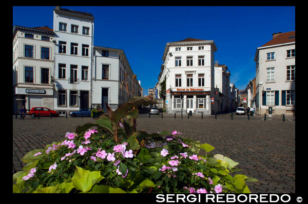 Plaça situada al costat de la Église St-Jean Baptiste-au-Béguinage. La zona de Ste-Cathérine resulta molt animada, sobretot a la nit. Gran quantitat de marisc disposades una darrere l'altra es disputen als clients, en un barri popular i marcadament flamenc. Els seus terrasses i salons per degustar la xocolata alenteixen el ritme d'una ciutat vibrant. Saint-Géry, situat més al sud, rep el nom d'una antiga parròquia, en aquest cas, la de sant Gaugerico de Cambrai (ca. 550-ca. 626), que va ser bisbe d'aquesta ciutat de les Flandes franceses. Abans de la important transformació urbanística, Saint-Géry era una illa formada pel riu Senne. L'illa formava un gran cercle que anava des de l'antiga església de les Clarisses fins a l'actual borsa, amb una altra segona illa més petita propera a la plaça Fontainas, on el riu vorejava l'església de la Mare de Déu del Socors. PLAÇA empedrada AMB L'ESGLÉSIA