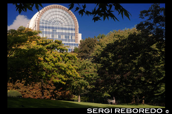 El Barrio Europeo es la nomenclatura por la que se conoce a la zona de Bruselas en la que se asientan la mayoría de las instituciones de la Unión Europea. Está ubicada entre tres parques (el del Cincuentenario, el de Bruselas y el Leopold Park) y tiene su centro en la rotonda SchumanEsta zona, antiguamente residencial, ha ido sustituyendo las viviendas por oficinas. El inmueble más emblemático es el edificio Berlaymont, inspirado en el edificio de la UNESCO en París y sede de la Comisión Europea, que alberga a 2.000 de los 20.000 funcionarios de la Comisión que tienen fijada su residencia en la ciudad. La Comisión tiene, además de este edificio, otros 60 repartidos por el barrio. Durante los últimos años ha tenido que aumentar la infraestructura como consecuencia de las últimas adhesiones a la Unión Europea. Por otro lado, en esta zona también se encuentra el edificio Justus Lipsius, que acoge al Consejo de la Unión Europea y el Consejo Europeo. Al sur se encuentran los edificios del Parlamento, justo entre Luxemburg Square y el Leopold Park. Sus edificios principales son Altiero Spinelli y Paul-Henri Spaak, que no son las sedes oficiales de esta institución, pero sí donde se desarrolla más de la mitad de su actividad. Este complejo ha necesitado de continuas ampliaciones en los últimos años. CUPULA ACRISTALADA EN EL BARRIO EUROPEO.