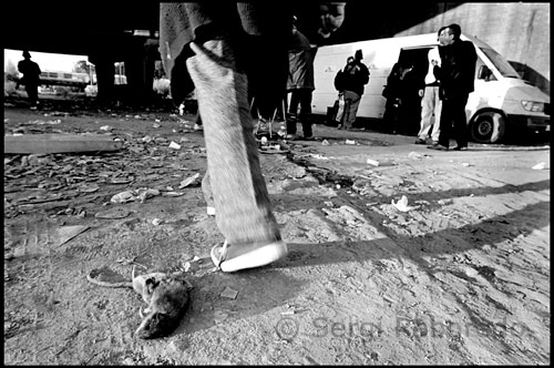 CAN TUNIS BARCELONA DRUGS. Las ratas conviven con los usuarios bajo el punto. A más de uno le ha mordido una rata en el cuello. El doctor Torralba tiene la amabilidad de recibirme en su despacho de la Plaza Lesseps. Es el responsable municipal del plan contra las drogas, un perfecto funcionario socialista, cuyo lema y divisa es “hago lo que puedo”. Me recibe de uñas, y yo para allanar el camino repleto de dificultades le enseño las fotografía que pensamos publicar, es una forma como otra cualquiera de iniciar una amistad. Hace ver que no se inmuta, pero un leve temblequeo del labio superior le delata. Es el vivo retrato de “Quico el progre”, barba incluida. Se explica perfectamente, es como hablar con una pared de frontón, tiene la lección bien aprendida no en vano su despacho esta dentro de una habitación más amplia en cuya puerta reza el título de “Imatge i comunciació”, una cosa rimbombante y en buena medida sorprendente para un sitio como este. Rebate todos y cada uno de mis argumentos, como quien sabe de memoria las preguntas y las respuestas correctas del catecismo. Tan solo me acepta que sí, que efectivamente están en unas condiciones horrorosas, pero que gracias a él, no están peor. Un verdadero consuelo, si no hay agua no es culpa suya, y él en cambio la lleva en bidones; sí hace frío no es culpa suya que cierren los albergues él en cambio les lleva mantas térmicas. Sus programas con metadona llegan a más de dos mil personas, y mordeduras de ratas, que él sepa tan solo han habido dos casos. El tiene ochenta millones para Can Tunis, y en Madrid para la sala de venopunción tienen 500. No hay demoras, ni listas de esperas en los centros de rehabilitación, aunque eso si reconoce que el servicio del Hospital del Mar –que por cierto no depende de él- estuvo este verano pasado cerrado tres meses por vacaciones y por obras. Que vuelva cuando quiera, pero que publicar estas cosas, solo puede provocar que los vecinos se reboten, - los vecinos eso sí, reconocen que están a más de un kilómetro y medio-, y si cortan el tráfico como ya ha pasado otras veces, no podrá hacer nada más.  La prensa ya se sabe, pone el titular para vender más, aunque dentro se digan las cosas bien, queda el titular. 