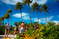 Aitutaki. Cook Island. Polynesia. South Pacific Ocean. Some of the beaches with palm tres.  Aitutaki (Aye-too-tah-ki) is an island in the Southern Cook Islands a 45 minute flight from the capital island of Rarotonga. Aitutaki lagoon and its islands are breathtakingly beautiful. The classic picture postcard of small palm tree fringed tropical island, with shallow, warm turquoise waters, corals, tropical fish and blue skies is taken here. The lagoon is large, taking about an hour in a boat to cross it. Tourism facilities are well developed, but are still low key enough not to intrude on the nature of the island. The larger island is split into different villages, Vaipae & Tau'tu are the largest and are located on the south east side of the island, Arutanga is often referred to as town and is on the south west side of the island. Arutanga has a center area for shopping, and the Telecom Office (also the Post Office), the Westpac Bank and the Bank of the Cook Islands are located here. Here you will also find the Blue Nun and Wharf. Amuri is a general term for the north end of the island which contains most of the tourist accommodations and less population. The other villages on the island are Uriea, Rearea, Rama, Vaipeka and Nikaupara.