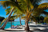 Aitutaki . Illa Cook . Polinèsia . El sud de l'Oceà Pacífic . Alguns turistes prenen un bany de sol a la platja de Aitutaki Lagoon Resort & Spa Hotel . Un gran pati d'esbarjo als afores de la seva porta . Per a les famílies Aitutaki és realment un gran pati d'esbarjo als afores de la porta del seu allotjament. També és molt segur . Infants, joves i grans, poden passar hores gaudint de la llacuna - per sobre i per sota l'aigua - mentre estan nedant , caiac , busseig i vela . De tornada a terra per visitar amb bicicleta , caminar al voltant d'alguns dels senders interiors , vagi petxines a la platja i prendre un safari en les quatre rodes . El ritme de vida és suau aquí, només hi ha un canal de televisió (tret que et quedaràs en algun lloc amb televison satelital Sky ) , i les compres es limita al bàsic i algunes artesanies locals . Cloïsses al Centre d'Investigació . El Centre d'Investigació Marina Aitutaki és una visita interessant per a tota la família. Els seus projectes inclouen el cultiu de cloïsses gegants que més tard es van traslladar a la llacuna i per aquaris d'ultramar . També hi ha nadons tortugues marines . El centre de recerca està obert entre setmana i farà visites . Diversos viatges a la llacuna inclouen una parada al voltant de les cloïsses que han estat reubicats a la llacuna, i és interessant comparar els seus inicis a l'estació d'investigació amb seu creixement en la llacuna Si vostè va a bussejar amb un dels passejos en pot, també veure algunes de les cloïsses gegants madurs ( Tridacnidae gigues ) a la llacuna.