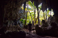 Isla Atiu. Isla Cook. Polinesia. El sur del Océano Pacífico. Dentro de las impresionantes Kopeka Aves Cuevas en Atiu. Excursiones Cueva están disponibles para muchas cuevas de piedra caliza de coral. Todos son espectaculares y nos enumeran los más visitados aquí. Hay muchos otros. Si usted está en las cuevas que fácilmente podría pasar todo su tiempo en Atiu subterráneo. Las cuevas de Atiu muestran signos evidentes de haber sido cedido por el agua dulce que fluye fuera de la tierra ácida volcánica de Atiu ya través de la Makatea. Con cada cambio en el nivel del mar, túneles están talladas en ese nivel para que el agua fresca sin embargo. Un ejemplo actual de este día es el Túnel Tiroto. Hay otro túnel como éste, en el distrito Tengatangi que sólo se puede acceder desde el mar. Las cuevas se enumeran aquí son cuevas que fueron talladas a cabo cuando el nivel del mar era más alto. Anataketake cueva en particular, es el hogar de la Kopeka. Un ave única de Atiu, que es capaz de hacerse eco-localización en la cueva oscura para encontrar su nido. Tiroto túnel conecta el lago de Atiu al mar. Es posible caminar por este túnel casi hasta el mar. La última parte del túnel está bajo el agua. Se puede decir que usted está cerca del mar porque el flujo se mueve hacia atrás y hacia adelante con la acción de las olas y porque hay arena blanca y limpia bajo los pies. El vadear este túnel es una aventura. A veces se llama el túnel de barro. Rima Rau cueva de entierro, merece una visita. 'Rima' es de cinco y 'Rau' es de doscientos en el idioma Atiu. Así Rima Rau significa mil muertos. Esto debe ser una exageración. Es más probable que sea 50. Hay muchas leyendas acerca de quién de los huesos se encuentran en la cueva. Una leyenda habla de una famosa batalla, otro de un festín caníbal, y otro una historia de venganza. Pregúntele a su guía o anfitrión de contar las historias.