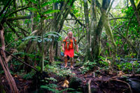 Isla de Rarotonga. Isla Cook. Polinesia . El sur del Océano Pacífico. Sr. Pa , la guía más popular de Rarotonga. Uno de los personajes más coloridos Islas de Cook le llevará en un viaje mágico y cuatro horas de la isla , el aprendizaje sobre sus mitos y leyendas y tradiciones de hierbas nativas . Únete Pa mientras da un paseo y senderismo visita guiada por el exuberante interior de Rarotonga. Aprenda acerca de las plantas medicinales locales utilizados por sus antepasados. Conocida por muchas publicaciones como ' más famosa guía experimentado del Pacífico Sur ' , Pa recitará historias de guerras , hambrunas y grandes migraciones como transmitida a él por sus antepasados. Únete a él en la cumbre de la aguja famosa y disfrutar de las vistas desde este punto de vista , entonces caminata hasta la cascada y viaje a través de la costa occidental. Esta es una gran excursión de todo el día . Pa está bien versado en la cultura y la historia de las Islas Cook y sus visitas son muy interesantes. Hay un poco de caminata vigorosa y escalada implicado y usted necesitará zapatos resistentes para caminar y ser razonablemente en forma . Llevar repelente de insectos y no olvides tu cámara , hay unas vistas increíbles y un paisaje impresionante . El tour incluye : Traslados y almuerzo ligero. Las vistas y las historias hacen de esta una experiencia maravillosa. (4 horas )