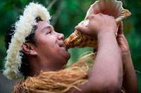 Isla de Rarotonga. Isla Cook. Polinesia . El sur del Océano Pacífico. A Polynesian suena la concha de caracol en el show Highland Paradise Cultural Village. Highland Paradise Cultural Village situado en Mangaroa Mountain. Este pueblo de 500 años de antigüedad , una vez se perdió en el tiempo y asumida por la selva circundante , pero desde entonces ha sido redescubierto y abierto a los visitantes. En el camino a este sitio de 200 acres , su guía le informará sobre la vida de los nativos de las Islas Cook antes de la llegada de los misioneros. Al llegar al pueblo, usted comenzará su inmersión en la cultura local mediante el aprendizaje acerca de los marae y Voyaging habilidades espirituales de antepasados ??de la isla. Aquí, usted va a ver réplicas perfectas de casas de pueblo , ya que una vez se levantó , junto con placs sagrados de culto, donde se libraron batallas y el sitio de los sacrificios humanos. También podrá ver el trono de roca del Gran Jefe y el compás del rock canoa del navegador junto con el descubrimiento de la importancia que el cocotero es , las muchas maneras de atar el pareo de colores y cómo hacer guirnaldas de flores . Usted también tendrá la oportunidad de degustar algunos de los platos locales y fruta tropical. El punto culminante de su visita será una actuación apasionada y colorido de la danza nativa y la música , que abarca el verdadero espíritu de la cultura de la isla.