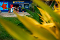 Isla de Rarotonga. Isla Cook. Polinesia. El sur del Océano Pacífico. Centro de Buceo en Rarotonga: el pez grande, el centro de buceo. Laguna de la zambullida con el de centro de buceo. Rarotonga (que significa "hacia el sur por ') es la mayor de las Islas Cook a 20 kilómetros de circunferencia y es la isla más propensos a visitar si usted tiene la intención de bucear en el archipiélago. Su interior es prácticamente despoblada y los bordes de la isla se rodea de las playas de arena blanca y arrecifes de coral. Las áreas interiores montañosas y escarpadas son y cubierto de selva y arroyos hacen lo imposible por los valles escarpados al mar. Para viajar por todo Rarotonga toma alrededor de una hora en coche o autobuses salen cada hora desde la esquina de Cook Arcade en Ararua. La carretera de la costa circunda completamente la isla y no hay otro camino intermitente a unos 500 metros tierra adentro. Sólo es posible viajar por toda la isla a pie, ya que no hay carreteras. Para caminar a través de toma de tres a cuatro horas, con parada en 'la Aguja ", donde usted puede experimentar vistas panorámicas de la isla. Es posible organizar paseos a través de las agencias de viajes, pero estos pueden ser difíciles va para las personas no acostumbradas a caminar por la montaña, sobre todo si llueve como los caminos se vuelven resbaladizos. Rarotonga se encuentra justo en el Trópico de Capricornio, por lo que cuenta con un clima tropical. Las temperaturas del aire van de un mínimo de 18 ° C en invierno (mayo a octubre) y una máxima de 29 ° C en el verano, cuando también está mojada y húmeda (de noviembre a abril). La capital de Rarotonga es Ararua.
