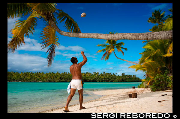 Aitutaki. Cook Island. Polynesia. South Pacific Ocean. An inhabitant of the island takes up a coconut palm tree on the beach in One Foot Island. One Foot Island is asmall island in the district of Aitutaki of the Cook Islands in Australia. It is also known as Tapuaetai and is one of 22 islands of the atoll. You can only reach this island via a short boat trip from the main island. It is said that One Foot Island gives the visitors the best view of the Aitutaki lagoon. It was awarded “Australia’s Leading Beach” at the World Travel Awards held in Sydney in June 2008. The island is uninhabited, but you can buy small things at the local shop. The beaches of OneFoot Island are white, and the water is crystal clear. This is not only a paradise for divers and snorkelers but also for those wanting to enjoy the beach and the sand. Climate: Since the islands are South of the equator, the seasons are opposite to those of Europe and North America. The cooler, drier season is from April to November and the warmer, more humid season is from December to March. The average temperature is 27 Celsius. Regularly listed as one of the most romantic places on Earth, and the second-most visited island in the Cooks, Aitutaki is famous for its impossibly crystal-clear, turquoise water of its central lagoon, tiny motus (islets) and pristine, palm-shaded beaches. Inland, Aitukati's rolling hills are a patchwork of banana plantations and coconut groves. 220 kilometres from Rarotonga and easily accessible by air, flying over Aitutaki is breathtaking. The immense, turquoise lagoon appears to float on the deeper blue of the Pacific, and is speckled with 15 uninhabited motus and brightly coloured corals just below the shimmering liquid surface. this is the ultimate blue lagoon. A leisurely walk to the summit of Aitutaki's highest peak, Maungapu, might only reach an elevation of a little over 120 metres, but it delivers sweeping views that are sure to leave you breathless. Another popular spot is the beautiful One Foot Island, where the TV show Survivor was filmed. Boasting one of the world's largest coral lagoons, it is with good reason that snorkelling, fishing and diving are popular on this island paradise, as is simply finding the perfect beachside spot and not budging for anything other than a refreshing drink or delectable bite to eat.