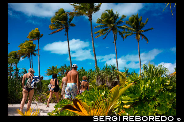 Aitutaki . Isla Cook. Polinesia . El sur del Océano Pacífico. Algunas de las playas con tres palmeras . Aitutaki ( Aye -demasiado- tah -ki ) es una isla en las Islas Southern Cook un vuelo de 45 minutos de la capital de la isla de Rarotonga. Aitutaki laguna y sus islas son una belleza impresionante . La clásica postal de pequeña palmera con flecos isla tropical, con aguas cálidas y poco profundas de color turquesa , corales , peces tropicales y cielo azul se toma aquí . La laguna es grande , teniendo alrededor de una hora en un barco para cruzarlo. Las instalaciones turísticas están bien desarrollados , pero aún están bajo llave lo suficiente para no entrometerse en la naturaleza de la isla. La isla más grande se divide en diferentes aldeas , Vaipae y Tau'tu son los más grandes y se encuentran en el lado sureste de la isla, Arutanga se refiere a menudo como la ciudad y está en el lado suroeste de la isla. Arutanga tiene un área de centro para ir de compras , y la Oficina de Telecom (también la oficina de correos ), el Banco Westpac y el Banco de las Islas Cook se encuentran aquí . Aquí también se encuentra la Monja azul y Wharf. Amuri es un término general para el extremo norte de la isla, que contiene la mayoría de los alojamientos turísticos y menos población. Los otros pueblos de la isla son Uriea , Rearea , Rama , Vaipeka y Nikaupara.