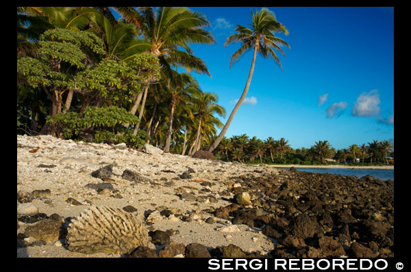 Aitutaki . Isla Cook. Polinesia . El sur del Océano Pacífico. Playa en Aitutaki Lagoon Resort & Spa Hotel. El Paraíso es una palabra mucho - usado en exceso , pero tal vez en ninguna parte es más apto que aquí . Usted encontrará que hay muchas diversiones que echar mano , pero tan a menudo, de los placeres simples se parecen más que suficientes . Loll en la playa, descansar en una hamaca , tomar un baño lánguido en la laguna luminosa , relajarse profundamente en la compañía del otro , volver a descubrir lo mejor de ti mismo y con los demás . En este lugar , este paraíso , usted tiene el tiempo y el espacio para reavivar su buen humor , de volver a encender el fuego y la pasión en tu abrazo , y para vivir de verdad en el momento. Desde el santuario y separación seguros otorgada por su propio escondite de la isla , su mente, cuerpo y alma tienen la oportunidad de ser sanados de estrés cotidianos de la vida. Su espíritu tiene la oportunidad de renovarse a sí misma a medida que adquiera una nueva perspectiva , más equilibrado en lo que es verdaderamente importante en su vida. Este es el lujo de la distancia, el último lujo de su propio santuario isla privada. Nada se le prepara para la profunda paz y la tranquilidad de estar en su propio resort en una isla privada. Pero una vez que haya probado la singularidad , lo especial , de ella , nada más nunca bastante a la altura . Esto es atractivo Aitutaki . Al salir , un pedazo de él se quedará en su corazón por siempre , anhelo de volver al lugar de la Tierra más cercano al cielo . Instalaciones, Instalaciones y Servicios de The Aitutaki Lagoon Resort & Spa se compone de : La mejor ubicación en las Islas Cook - nada mejor que estar directamente en laguna más hermosa del mundo ... el único complejo situado en Aitutaki Lagoon (mira el mapa ) . WOW ! Las mejores vistas de las Islas Cook - Imagine que mira hacia fuera estas asombrosas vistas desde su propio resort isla privada ... el único resort en una isla privada en las Islas Cook. WOW ! Las mejores playas en Aitutaki - largas extensiones de playas de arena champán aislados que rodean el resort isla privada , bordeadas de cocoteros elegantes . WOW ! Mejor nadar en Aitutaki - a diferencia de otros lugares , aquí se puede nadar en cualquier marea , y bucear en la Reserva Marina que rodea Motu Akitua . Perfect . Mejor ambiente íntimo bungalow en Aitutaki - una auténtica verdad de estilo polinesio complejo boutique de bungalow, con todos los bungalows bien espaciadas para la privacidad. Realmente se siente como si estuvieras en tu propia " cabaña de madera nativa . Ideal para parejas de enamorados y románticos incurables . Los mejores bungalows en las Islas Cook - nada se compara con estar en una magnífica Bungalow sobre el agua con la laguna más hermosa del mundo a sus pies. Las Islas Cook SOLAMENTE OVERWATER . WOW ! Mejor ubicación del restaurante en Aitutaki - las vistas desde el barco de vuelo Beach Bar & Grill son para morirse, en cualquier momento del día , y especialmente cuando toda la escena está en llamas al atardecer ( no se llama Sunset Beach para nada) . Persigue un cóctel fresco atardecer con una cena deliciosa lagoonside , con los pies en la arena mientras la luna se levanta y el dosel arriba empieza abrir y cerrar con un billón de estrellas . Un entorno verdaderamente sublime. El mejor restaurante de función en Aitutaki - el restaurante Bounty ofrece un maravilloso y amplio espacio para eventos privados para medianas y grandes grupos completos con un alto techo elegante y auténtico de la Polinesia -styling , con terrazas espaciosas con vistas a la piscina y el Canal de la Luna Llena . Lo que un lugar memorable! Mejor spa en Aitutaki - SpaPolynesia Spa & Beauty Therapy Centre w de Pareja Sauna y Jacuzzi . Una experiencia de spa completo, hecho tanto más maravilloso para ser fijado en una pieza muy especial de Paradise - Motu Akitua isla privada. Déjese llevar por la verdadera tranquilidad . Lugar de la boda más sublime de Aitutaki completa con su ' Taputou ~ The Promise ' Paquete de Bodas . Tu planificador personal de bodas está aquí para ayudar a adaptar su sueño Mares del Sur de la boda - la derecha en su propio resort en una isla privada , con vistas al hechizante de laguna más hermosa del mundo. Una ubicación inmejorable para su boda el paraíso - especialmente si usted ha traído amigos especiales y familiares para compartir con aquí, en el corazón del Pacífico Sur. Mejor serie de desvíos en Aitutaki - como windsurf (sí, con nuestras felicitaciones !) , Además de todas las siguientes actividades complementarias : canoas , kayaks , bicicletas, árbol de coco escalada y desgranado espectáculo, ei ( lei) decisiones, hura ( hula ) clases de baile , la caza del cangrejo, cangrejo carreras , alimentación de peces , buceo, ajedrez gigante , sala de juegos , juegos de mesa , películas en la habitación , biblioteca , y mucho más Mejor posición en Aitutaki conferencia - un bien equipado, dimensiones ideales sala , junto con las desviaciones gran " tiempo de juego " para sus participantes cuando estén listos para un descanso bien earnt ! Alquiler de vehículos únicos en Aitutaki - fácil acceso al arrendamiento de vehículos de calidad y reservas de viajes a través de nuestro sitio en Alquiler Vehículos / Información turística, incluyendo un MX5 rojo coche deportivo convertible cracia , Prado y Rav4 ! Práctico de compras para los pequeños elementos esenciales de la vida y los recuerdos auténticos de la in situ Vaka Gift Shop Beachfront piscina de agua dulce , con vistas al Canal de la Luna Llena . Un gran lugar para relajarse con un buen libro y una bebida fría. La piedad - hay una lavandería autoservicio en el lugar de mantenerlo Mantenga limpia en contacto con el mundo si es necesario - de cabinas de internet en el sitio.