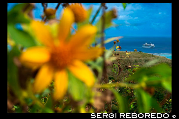 Aitutaki. Cook Island. Polynesia. South Pacific Ocean. Close-up of a flower. In the distance the Paul Gauguin cruise ship docked on the island of Aitutaki, Cook Islands. Paul Gauguin Cruises operates the m/s Paul Gauguin, the renowned, award-winning, 5-star-plus, luxury cruise ship built specifically to sail the waters of Tahiti, French Polynesia and the South Pacific. Since its maiden voyage in 1998, the m/s Paul Gauguin has been the longest continually operating, year-round luxury cruise ship in the South Pacific. No other luxury ship in history has offered this level of single-destination focus and expertise on a year-round basis for such an extended period of time. Paul Gauguin Cruises is committed to providing an unequalled luxury cruise experience uniquely tailored to the unparalleled wonders of Tahiti, French Polynesia and the South Pacific. Our numerous World's Best awards demonstrate our dedication to guest satisfaction, excellence, quality and value. All ocean-view accommodations, nearly 70% with private balconies. All shipboard gratuities included; Complimentary beverages including soft drinks, hot beverages and select wines and spirits included. Single open-seating dining. m/s Paul Gauguin was built specifically to sail the waters of Tahiti and French Polynesia. Complimentary exclusive Private Retreats with a private beach in Bora Bora and a full day call at our private island, Motu Mahana. Intimately sized, catering to only 332 guests per voyage. Onboard watersports marina platform with complimentary kayaking, windsurfing, waterskiing and dive masters for optional dive programs and certification. m/s Paul Gauguin is the longest continually operating luxury cruise ship in the South Pacific.