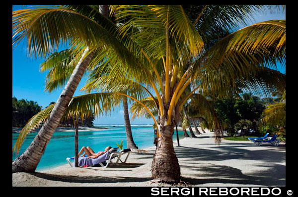 Aitutaki. Cook Island. Polynesia. South Pacific Ocean. Some tourists take a sun bath on the beach of Aitutaki Lagoon Resort & Spa Hotel. One big playground just outside your door. For families Aitutaki is really one big playground just outside the door of your accommodation. It is also very safe. Children, young and older, can spend hours enjoying the lagoon - above and below water - while they are swimming, kayaking, snorkelling and sailing. Back on land you can explore on bicycles, hike around some of the inland trails, go beachcombing and take a four-wheel drive safari. The pace of life is gentle here, there is only one television channel (unless you are staying somewhere with Sky satellite televison), and shopping is limited to the basics and some local crafts. Clams at the Research Centre. The Aitutaki Marine Research Centre is an interesting visit for all the family. Their projects include farming giant clams that are later moved to the lagoon and to aquariums overseas. There are also baby sea turtles. The research centre is open weekdays and will do tours. Several lagoon trips include a stop around the clams that have been relocated into the lagoon, and it is interesting to compare their beginnings back at the research station with their growth out in the lagoon If you go snorkelling with one of the boat tours you will also see some of the mature giant clams (Tridacnidae gigas) out in the lagoon. The research station is located on the way to the golf club on the north western side of the island. Family-friendly accommodation. Families often choose self-catering accommodation and there are several choices of accommodators with well-equipped units with kitchens and laundry facilities. You will find food is generally a bit more expensive than on Rarotonga because of the freight involved. The local market, supermarket and shops usually have fresh local vegetables and fruit for sale although the supply depends on the season. Sometimes mosquitoes and sand flies can be a problem on Aitutaki. The accommodation units will be screened but take plenty of repellent in case they are a problem on inland jaunts or at the beach.