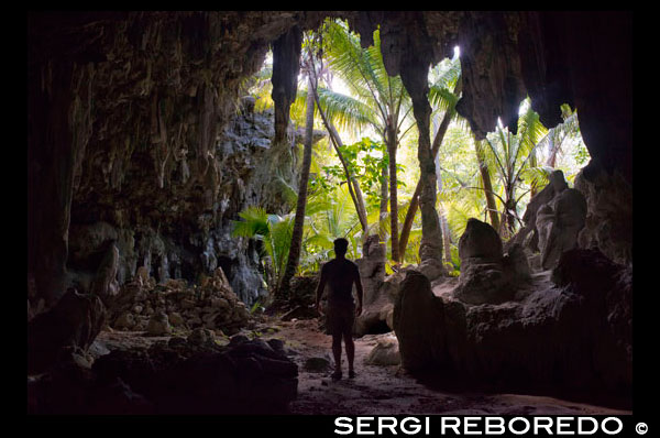 Isla Atiu . Isla Cook. Polinesia . El sur del Océano Pacífico. Dentro de las impresionantes Kopeka Aves Cuevas en Atiu . Excursiones Cueva están disponibles para muchas cuevas de piedra caliza de coral. Todos son espectaculares y nos enumeran los más visitados aquí . Hay muchos otros. Si usted está en las cuevas que fácilmente podría pasar todo su tiempo en Atiu subterráneo. Las cuevas de Atiu muestran signos evidentes de haber sido cedido por el agua dulce que fluye fuera de la tierra ácida volcánica de Atiu ya través de la Makatea . Con cada cambio en el nivel del mar , túneles están talladas en ese nivel para que el agua fresca sin embargo. Un ejemplo actual de este día es el Túnel Tiroto . Hay otro túnel como éste , en el distrito Tengatangi que sólo se puede acceder desde el mar. Las cuevas se enumeran aquí son cuevas que fueron talladas a cabo cuando el nivel del mar era más alto . Anataketake cueva en particular, es el hogar de la Kopeka . Un ave única de Atiu , que es capaz de hacerse eco - localización en la cueva oscura para encontrar su nido . Tiroto túnel conecta el lago de Atiu al mar. Es posible caminar por este túnel casi hasta el mar . La última parte del túnel está bajo el agua . Se puede decir que usted está cerca del mar porque el flujo se mueve hacia atrás y hacia adelante con la acción de las olas y porque hay arena blanca y limpia bajo los pies. El vadear este túnel es una aventura. A veces se llama el túnel de barro. Rima Rau cueva de entierro , merece una visita . ' Rima ' es de cinco y ' Rau ' es de doscientos en el idioma Atiu . Así Rima Rau significa mil muertos. Esto debe ser una exageración. Es más probable que sea 50 . Hay muchas leyendas acerca de quién de los huesos se encuentran en la cueva. Una leyenda habla de una famosa batalla , otro de un festín caníbal, y otro una historia de venganza. Pregúntele a su guía o anfitrión de contar las historias.