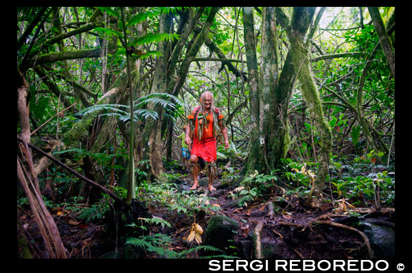 Rarotonga Island. Cook Island. Polynesia. South Pacific Ocean. Mr Pa, the most popular guide in Rarotonga. One of the Cook Islands more colourful characters will take you on a magical four hour tour of the island, learning about its myths and legends and native herbal lore. Join Pa as he takes a guided walking and hiking tour of the lush interior of Rarotonga. Learn about the local medicinal plants used by his ancestors. Referred to by many publications as ‘the South Pacific’s most famous experienced guide’, Pa will recite stories of wars, famines and great migrations as passed on to him by his forefathers. Join him at the summit of the famous needle and enjoy the views from this vantage point, then trek down to the waterfall and journey through to the western coast. This is a great all-day excursion. Pa is well versed in Cook Islands culture and history and his tours are very interesting. There is some vigorous walking and climbing involved and you will need sturdy walking shoes and to be reasonably fit. Take insect repellent and don’t forget your camera, there are some amazing views and stunning scenery. The tour includes : Transfers and light lunch. The views and stories make this a wonderful experience.(4hrs)