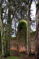 Muro exterior de la iglesia Debre Berhan Selassie. Junto con los cerca de 11 castillos y edificios anejos, la iglesia del siglo XVII de Debre Birhan Selassie es la única que ha sobrevivido a las repetidas destrucciones de Gondar a manos de los derviches (egipcio-sudaneses), los italianos y los británicos. 