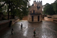 Baños de los Fasilidas. Atravesando un viejo portalón de madera en el que dormita un amable anciano que al parecer es el “guarda” de lugar, tras una breve charla penetramos en el recinto, antes nuestros ojos se presenta un pequeño edificio de “estilo Gondarino” en el que destacan un par de torres de dos plantas, a los pies del edificio se abre un estanque o “piscina“ de unos 3.000 metros cuadrados, son los famosos baños del Emperador Fasilidas. La arboleda presente en el recinto, consciente de la belleza del lugar se funde con la piedra del muro que rodea el estanque logrando una simbiosis mágica. 