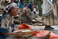 Algunas mujeres criban los granos de cereales en la aldea de Atba.  El Teff, el cereal llegado de Etiopía. El teff es un cereal con muchísimo futuro ya que como veremos en este artículo tiene unas ventajas nutricionales fuera de serie que lo hacen especial. Origen del teff Etiopía es el lugar de origen de este cereal de grano muy pequeño y color marrón oscuro el cual se cultiva desde hace más de 5000 años. Es uno de sus cultivos mas importante y utilizados en su dieta por este país De su grano se obtiene la harina, con la que elaboran la "Ingera" un tipo de tortilla grande que se acompaña al "wot" un guiso típico de Etiopía.
