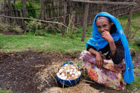 Una campesina vende sus huevos a pie de carretera en el mercado de Hausein. La imagen que uno puede tener de una Etiopía seca y yerma que se consume en la aridez, crudamente real en muchos lugares, cae en pedazos cuando uno se mueve por las tierras que rodean los cauces rehabilitados, las que reciben agua de algún canal o las que tienen la suerte de contar con un pozo.