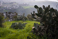 Overview of the city of Lalibela. Lalibela is a monastic city of northern Ethiopia, the country's second holy city, after Aksum, is an important pilgrimage center. Its population belongs almost entirely to the Ethiopian Orthodox Church. It is located in the federal state of Amhara, at 2,500 m. According to the Central Statistical Agency of Ethiopia, its population was 14,668 in 2005, 7049 men and 7619 women. Lalibela, formerly called Roha, was the capital of the dynasty Zague. It received its current name of King Lalibela Gebra Maskal (1172-1212), canonized by the Ethiopian Church, which wanted to build a new city in Jerusalem in response to the conquest of the Holy Land by Muslims. Many of its historic buildings take their name from buildings in that city.