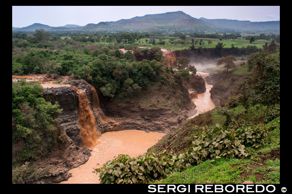 Tis Isat, las cataratas del Nilo Azul. En el enorme y bello lago Tana, se encuentra el nacimiento del Nilo Azul, ese gran ramal que  vierte sus aguas allá por Sudán en el Nilo Blanco, el gran Nilo que atraviesa todo Egipto y va a morir al Mediterráneo. El gran Nilo que fue habitado por cocodrilos enormes, y surcado por los faraones y los sacerdotes adorando al dios Sol, Ra, y a todo el panteón que se extendía bajo sus alas. Descubrir el nacimiento del Nilo Azul (río Abay en etíope) fue uno de esos grandes objetivos de los antiguos exploradores. Uno de esos misterios, junto con el del Nilo Blanco, que trajo de cabeza a muchos. Y durante mucho tiempo se confundió con las cataratas que se encuentran unos kilómetros más allá del lugar correcto (las cataratas están a unos 30 km de Bahar Dar).