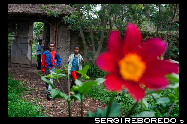 Patio exterior de la Iglesia de Debre Sina Maryam. Las flores campan a sus anchas y un chico local va vestido con la camiseta de FC. Barcelona. Gorgora, inmediatamente adyacente al campamento, también tiene un montón de lugares de interés cultural. Tiene una iglesia que data de 1334 (reconstruido en 1608) que cuenta con hermosos frescos coptos. A pocos kilómetros del camping se encuentran las ruinas de un palacio del siglo 17 y de la catedral de Susenios Emperador. Desde las ruinas tiene una hermosa vista a través del lago Tana. El campo base está a orillas del lago Tana, un lago natural alimentado por una multitud de ríos y arroyos de la sierra norte. El lago tiene 37 islas, veinte de los cuales tienen iglesias de los siglos 16 y 17 y monasterios. Ellos todavía están en uso y muchos de ellos se puede ver. La naturaleza en los alrededores del lago Tana es también abrumadora. El lago en sí es conocida por su abundancia de especies de aves. A lo largo de la costa y en las islas del lago hay árboles antiguos en los que muchas especies de aves, como tejedores, nacen las crías y sus crías. El lago también atrae a cualquier número de aves acuáticas como las águilas pescado, ibis, cigüeñas, garzas, pelícanos plata y el martín pescador. Además de las aves, el lago es el hogar de hipopótamos, hienas, antílopes, babuinos lagartos del Nilo, y muchas otras especies. 