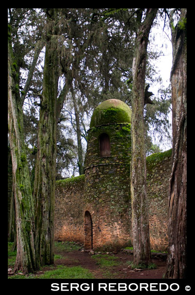 Mur exterior de l'església Debre Berhan Selassie. Juntament amb els prop de 11 castells i edificis annexos, l'església del segle XVII de Debre Birhan Selassie és l'única que ha sobreviscut a les repetides destruccions de Gondar a mans dels dervixos (egipci-sudanesos), els italians i els britànics. El seu principal interès no és tant l'edifici en si sinó les magnífiques pintures que hi ha al seu interior, tant a les parets com el sostre. Especialment aquest últim, decorat amb pintures de 80 cares de querubins mirant en totes les direccions, és segurament una de les estampes més típiques d'Etiòpia i més reproduïda en postals i records.