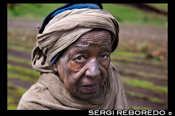Una dona local camina entre les vessants de les muntanyes de Simien. Les muntanyes Simien, situades al nord d'Etiòpia a 100 km de la ciutat de Gondar, són un bellíssim massís muntanyós que va ser declarat Patrimoni de la Humanitat per la Unesco el 1978. Compta amb diverses cims de més de quatre mil metres, profunds valls i una enorme varietat d'animals endèmics com el llop de les Simien, l'Ibex Walia i el babuí Gelada més d'animals com la hiena i el lleopard.