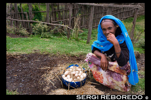Una campesina vende sus huevos a pie de carretera en el mercado de Hausein. La imagen que uno puede tener de una Etiopía seca y yerma que se consume en la aridez, crudamente real en muchos lugares, cae en pedazos cuando uno se mueve por las tierras que rodean los cauces rehabilitados, las que reciben agua de algún canal o las que tienen la suerte de contar con un pozo.
