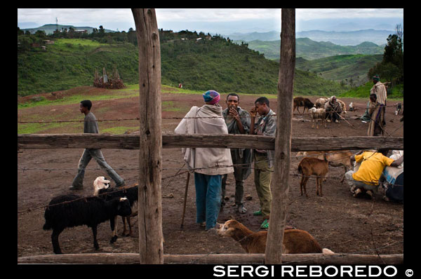 Al mercat de Lalibela es pot aconseguir qualsevol cosa, animals, roba, menjar, etc. En un lloc a part, un mercat a l'aire lliure, caòtic, gran i ple de bullici, concentra l'activitat de la gent. Bestiar, teles, cassoles, adorns, sastres, hortalisses, fruites, recipients de plàstic ... es barregen entre l'anar i venir dels que compren, xerren o miren. La ciutat gira en bona part al voltant de l'activitat religiosa i viu també dels forasters atrets per ella. Nombroses botiguetes de records i de productes artesans tempten als visitants amb una oferta semblant en totes elles: creus, imitacions de llibres antics, còpies d'icones, collarets i polseres, petites talles en fusta ... . La decoració acolorida d'aquestes i d'altres botigues, sovint amb ingènues pintures, donen un toc animat al carrer.