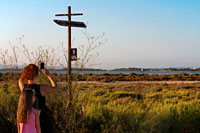 Formentera. Los turistas con niños toman fotos en la muestra del carril bici. Lago Pudent. Formentera. Islas Baleares, España, Europa.