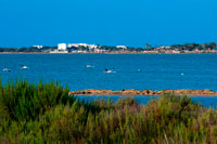 Formentera. Flamingos. Sunset. Llac Pudent. Formentera. Illes Balears, Espanya, Europa.