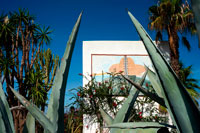 Formentera. Aloe Vera Cactus, pintada en una pared en Sant Ferran de ses Roques, Formentera, Islas Baleares, España. Mar Mediterráneo.