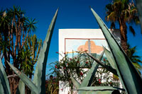 Formentera. Aloe Vera Cactus, Graffiti on a wall in Sant Ferran de ses Roques, Formentera, Balearic islands, Spain. Mediterranean Sea. 