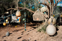 Formentera. Instrumentos de pesca con redes de palangre boya de abordar en primer plano colgando en un árbol en Formentera, Islas Baleares, España. Mar Mediterráneo. Formentera Islas Baleares aparejos de pesca redes de trasmallo arrastrero palangrero.