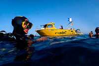 Formentera. Vellmarí Dive Center, de Formentera. Busseig en l'àrea d'Arc, Formentera, Illes Balears, Mar Mediterrani, Espanya. L'Arc ofereix una rica, paisatge marí recreatiu. És un lloc de busseig ideal per posar al dia les seves tècniques de busseig o simplement per gaudir d'una immersió agradable. Busseig a l'Arc és perfecte per practicar la seva tècnica de busseig perquè el busseig pot tenir lloc en tots els nivells: de 3 a 15 metres, amb un gradient de profunditat progressiva. L'arc és també un dels millors llocs de busseig a Formentera per a immersions d'iniciació, ja que ofereix una immersió fascinant a poca profunditat.