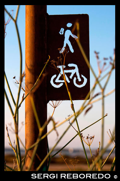 Muestra de la ruta de ciclo. Lago Pudent. Formentera. Islas Baleares, España, Europa. España; Formentera; Pudent; lago; firmar; signos; activo; rutas; viajar; nadie; la puesta del sol; ciclo; moto; bicicleta; isla; baleares; balear; bicicleta; campo; activo; ciclo; directa; dirección; direcciones; es; estany; formentera; francesc; libre; caminar; senderismo; vacaciones; ibiza; indicar; isla; islas; la; laguna; lago; naturales; ruta; caminos; punto; señalando; Pudent; Pujols; divagar; ruta; sant; Savina; firmar; España; tiempo; turismo; turismo; vacaciones; caminar; caminando; camino; Baleares; atrraction; destino; Europa; Europea; vacaciones; viajar; islas; mediterráneo; fotos; colocar; español; sol; turismo; turístico; vacaciones; vista; Baleares; hermosa; belleza; el paraíso; divertido; feliz; costera; paradisíaca; popular