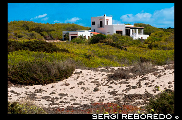 Típica casa blanca de Formentera. Platja de Migjorn, Formentera, Illes Balears, Espanya. Espanya; Formentera; illa; típica; casa; cases; Migjorn; rústic; platja; dunes; sec; blanc; edat; antiga; l'arquitectura; art; balear; bars; blau; mansió; caseriu; granja; la terra; edifici; edificis; costa; construcció; país; porta; medi ambient; europa; ventilador; granja; formentera; vacances; la llar; casa; Eivissa; illes; paisatge; obra; mediterrani; la naturalesa; vell; retro; roca; rural; rústic; Espanya; pedra; carrer; estil; textura; rajoles; turisme; la ciutat; tradicional; viatjar; típica; vista; poble; paret; blanc; finestra; finestres; fusta; groc; balear; Balears; atrraction; destí; Europa; Europea; vacances; viatjar; illes; mediterrani; fotos; col·locar; espanyol; sol; turisme; turístic; vacances; vista; Balears; bella; bellesa; el paradís; divertit; feliç; costanera; paradisíaca; popular