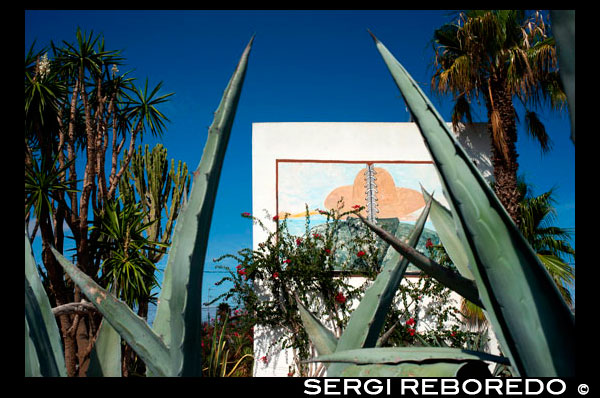 Aloe Vera Cactus, pintada en una paret a Sant Ferran de ses Roques, Formentera, Illes Balears, Espanya. Mar Mediterrani. Espanya; Formentera; sec; cactus; grattiti; wal; ferran sant; de; ses; àloe; vera; Roques; dibuixar; blau; cel; disseny; art; artista; blanca; cactus; costa; camp; de; del; espana; flors; Formentera; planta; segura; Espanya; Espanyol; la primavera; suculenta; vera; illa; balear; Balears; atrraction; destí; atraccions; balear; bar; països; de; destinacions; eivissa; UE; europa; europeu; ferran; fonda; fonda-pepe; Formentera; hispànica; vacances; els turistes; dies de festa; Eivissa; illes; regne; punts de referència; ubicacions; mediterrani; paquet; pepe; restaurant; roques; sant; ses; llocs d'interès turístic; turisme; turistes; el sud-oest; Espanya; Espanya; Espanyol; sol; turisme; turistes; tradicional; els viatgers; viatjar; viatja; sindicat; vacances; visitorEurope; Europea; vacances; viatjar; illes; mediterrani; fotos; col·locar; Espanyol; sol; turisme; turístic; vacances; vista; Balears; bella; bellesa; el paradís; divertit; feliç; costanera; paradisíaca; popular