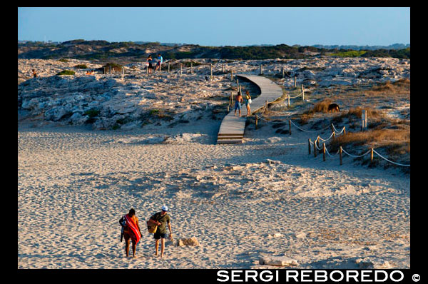 Sa Roqueta Beach and Ses Illetes Beach, Balearic Islands, Formentera, Spain. Couples walking in the sand.  Spain; Formentera; island; Ses Illetes; beach; sa roqueta; illetes; roqueta; coastline; marine; scene; outdors; sand; summer; balearic; nice; sea; boats; pretty; sunset; couple; couples; walk; walking; sand; beauty; calo; beach; beautiful; beauty; blue; coast; people; man; woman; romantic; europe; holiday; idyllic; isla; island; islands; islet; landmark; landscape; mediterranean; nature; ocean; outdoor; paradise; places; rock; rocky; san; scenic; sea; seascape; shallow; shore; sky; spain; stones; holiday; horizon; islands; length; look; med; mediterranean europe; platge; platja; playa; rear; rocks; rocky; rough; sand; sandy; sea; single; slim; spain; spanish; stand; summer; tourism; travel; vacation; view; watch; wave; sun; sunny; touristic; transparent; travel; turquoise; vacation; water; waves; white; balearic; Baleares; atrraction; destination; Europe; European; holiday; travel; islands; mediterranean; photos; place; spanish; sun; tourism; touristic; vacation; view; Balearics; beautiful; beauty; paradise; fun; happy; coastal; paradisiac; popular