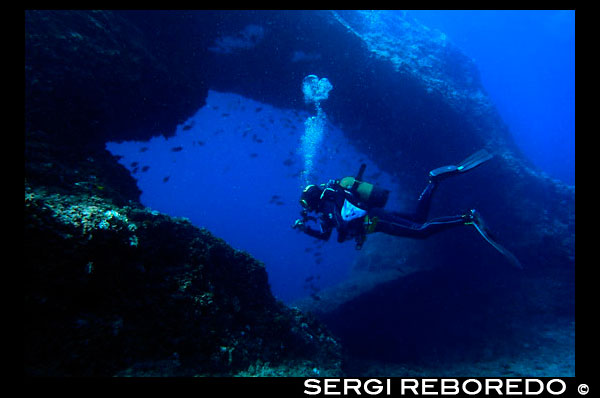 Diving in Arch area, Formentera, Balearic Islands, Mediterranean Sea, Spain. The Arch offers a rich, recreational seascape. It is an ideal dive site to brush up on your diving techniques or to simply enjoy a pleasant dive. Diving at the Arch is perfect for practicing your diving technique because diving can take place at all levels: from 3 to 15 metres, with a progressive depth gradient. The Arch is also one of the best dive sites in Formentera for initiation dives, as it offers a fascinating dive at shallow depths. Spain; Formentera; dive; diving; diver; arch; area; blue; depth; island; balearic; Baleares; atrraction; destination; Europe; European; holiday; adventure; aquatic; balearic; cave; cavediving; cavern; coral; coralreef; coralreefs; dive; diver; diving; eivissa; europe; extreme; fauna; format; gerald; hobby; holiday; horizontal; ibiza; in; islamorada; islands; marine; mediterranean; mr; n; nature; nowak; ocean; pine; pityuses; reef; reefs; rm; scuba; sea; sealife; spain; sport; sportdiver; sportdiving; sports; swim; swimming; tourism; tourist; travel; travelling; underwater; underwaterphoto; underwaterphotography; underwaterpicture; underwaterworld; vacation; wall; water; watersport; wildlife; travel; islands; mediterranean; photos; place; spanish; sun; tourism; touristic; vacation; view; Balearics; beautiful; beauty; paradise; fun; happy; coastal; paradisiac; popular