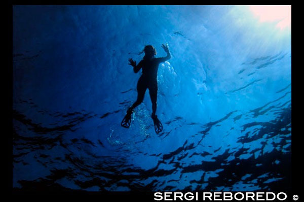 Girl diving in Arch area, Formentera, Balearic Islands, Mediterranean Sea, Spain. The Arch offers a rich, recreational seascape. It is an ideal dive site to brush up on your diving techniques or to simply enjoy a pleasant dive. Diving at the Arch is perfect for practicing your diving technique because diving can take place at all levels: from 3 to 15 metres, with a progressive depth gradient. The Arch is also one of the best dive sites in Formentera for initiation dives, as it offers a fascinating dive at shallow depths. Spain; Formentera; dive; diving; diver; arch; area; blue; depth; snorkel; snorkelling; island; balearic; Baleares; atrraction; destination; Europe; European; holiday; adventure; aquatic; balearic; cave; cavediving; cavern; coral; coralreef; coralreefs; dive; diver; diving; eivissa; europe; extreme; fauna; format; gerald; hobby; holiday; horizontal; ibiza; in; islamorada; islands; marine; mediterranean; mr; n; nature; nowak; ocean; pine; pityuses; reef; reefs; rm; scuba; sea; sealife; spain; sport; sportdiver; sportdiving; sports; swim; swimming; tourism; tourist; travel; travelling; underwater; underwaterphoto; underwaterphotography; underwaterpicture; underwaterworld; vacation; wall; water; watersport; wildlife; travel; islands; mediterranean; photos; place; spanish; sun; tourism; touristic; vacation; view; Balearics; beautiful; beauty; paradise; fun; happy; coastal; paradisiac; popular